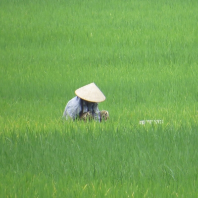 Vietnam | TravelMapsGuide.com